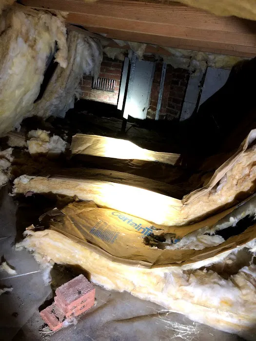 ProCore Pest Control Picture 3