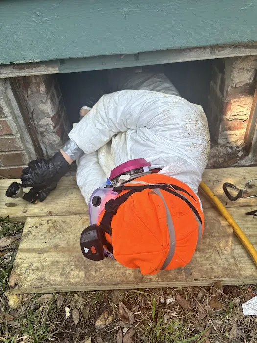 ProCore Pest Control Picture 4