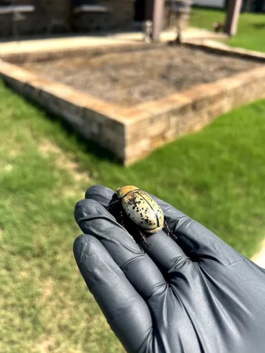 ClearDefense Pest Control Picture 5