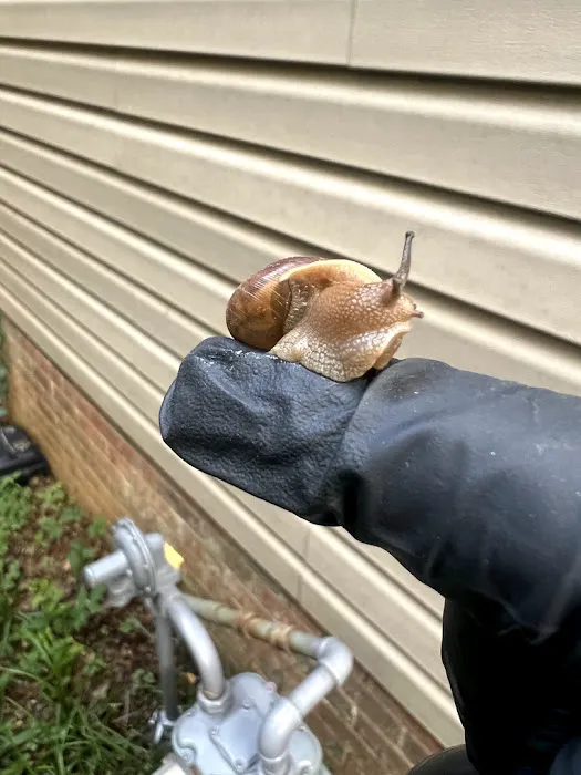 ClearDefense Pest Control Picture 7