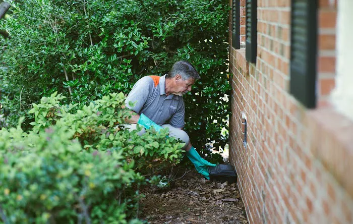 PinPoint Pest Solutions Picture 2