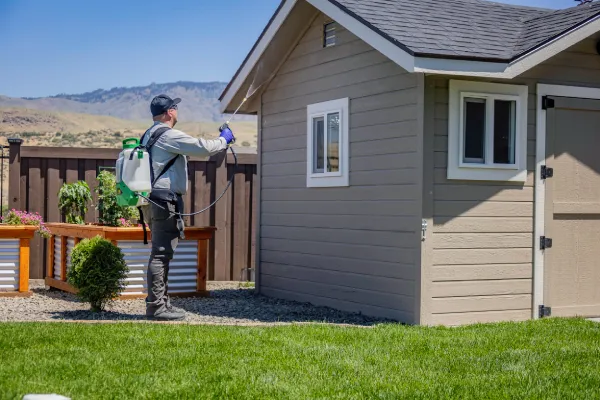 Croach Pest Control Picture 7