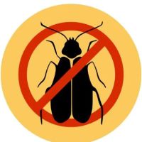 Adrian Hale Pest Control ico