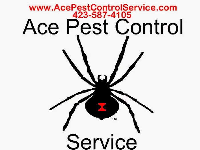 Ace Pest Control Picture 4
