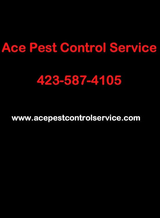 Ace Pest Control Picture 1