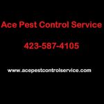 Ace Pest Control