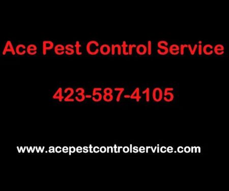 Ace Pest Control