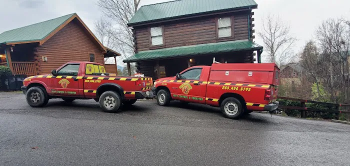 Bug busters pest control(tazewell branch) Picture 2