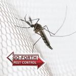 Go-Forth Pest Control