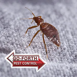 Go-Forth Pest Control Picture 9