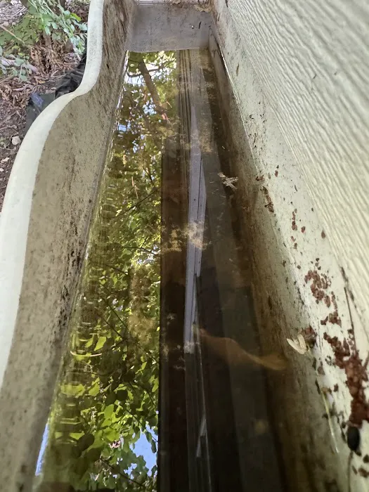 Tickiboom Pest Control (local) Picture 5