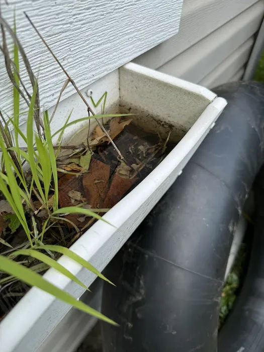 Tickiboom Pest Control (local) Picture 7