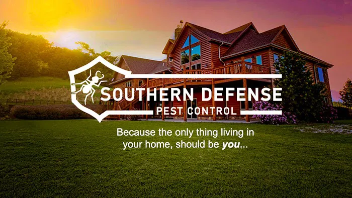 Southern Defense Pest Control Picture 4