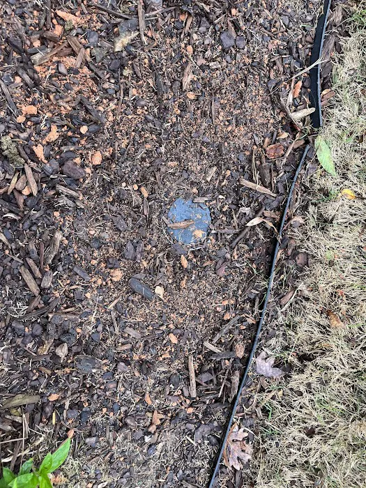 Southern Defense Pest Control Picture 7
