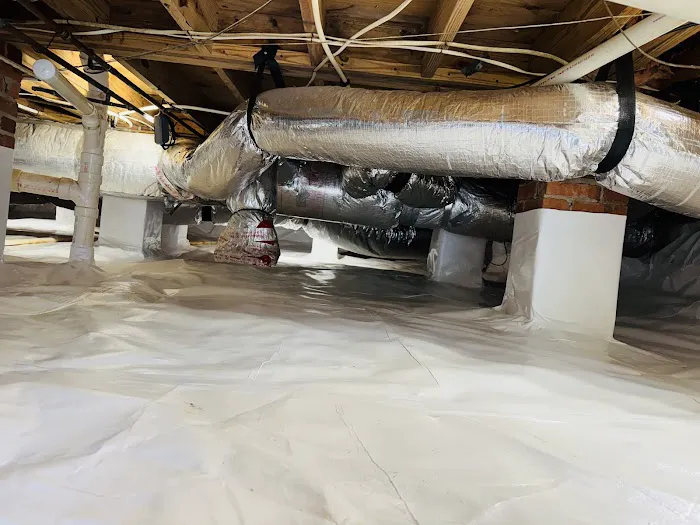 Boone Pest Management Picture 7