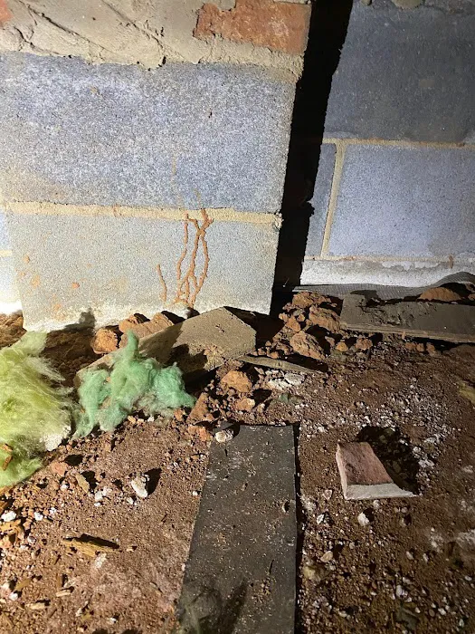 Boone Pest Management Picture 6