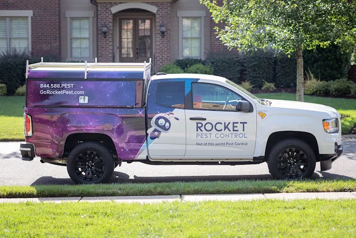 Rocket Pest Control Picture 2
