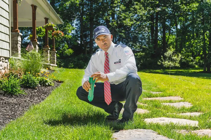 Home Paramount Pest Control Picture 7