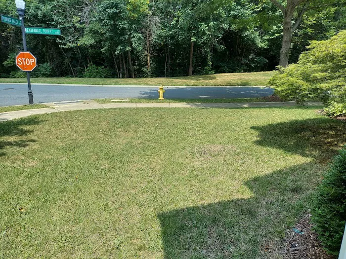 Top Turf Lawn Care and Pest Management Picture 9