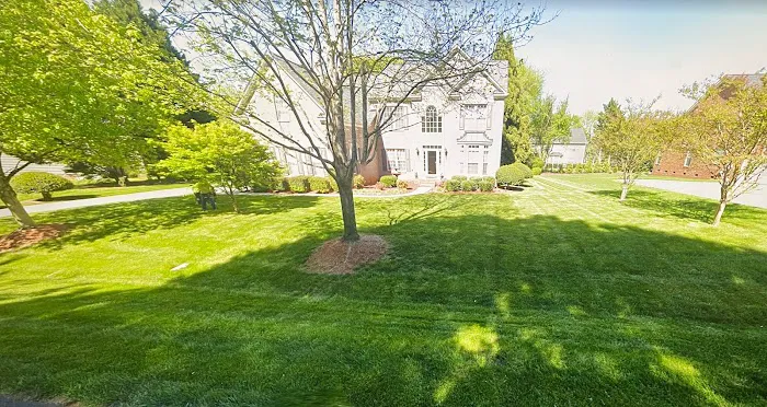 Top Turf Lawn Care and Pest Management Picture 7