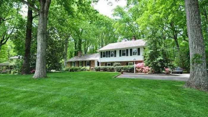 Top Turf Lawn Care and Pest Management Picture 2