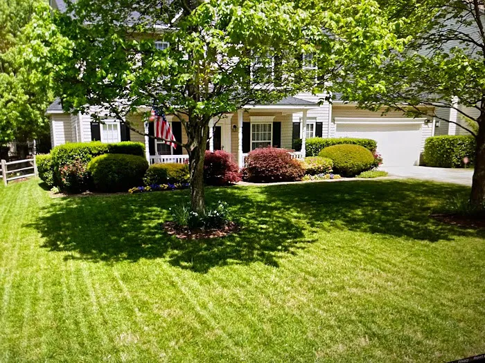 Top Turf Lawn Care and Pest Management Picture 5