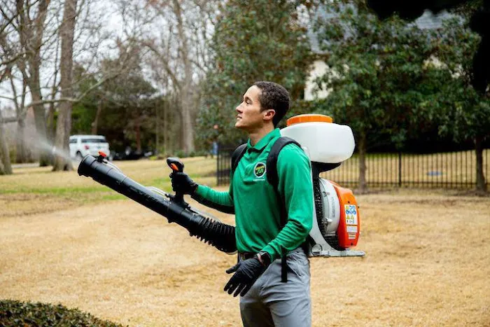 Mosquito Joe of South Charlotte Picture 6