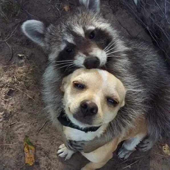 Quality Pest Control Picture 5