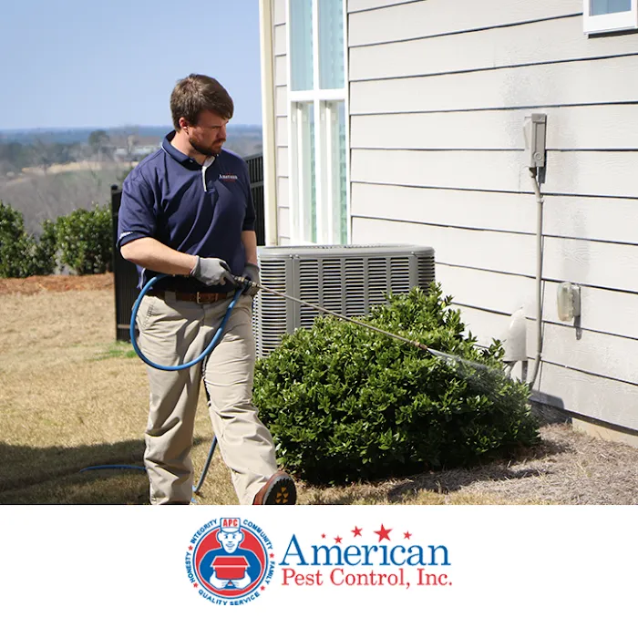 American Pest Control Picture 6