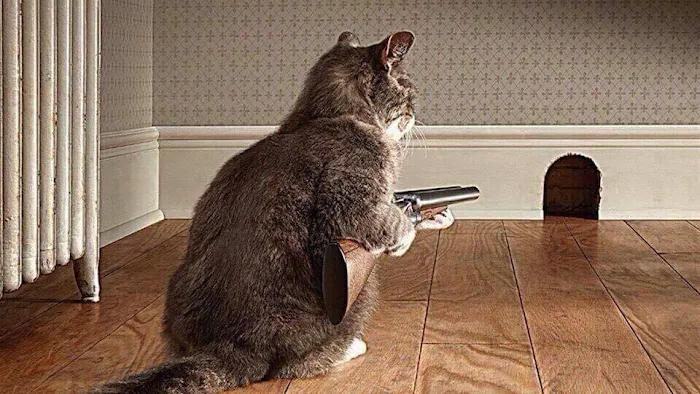 Quality Pest Control Picture 1