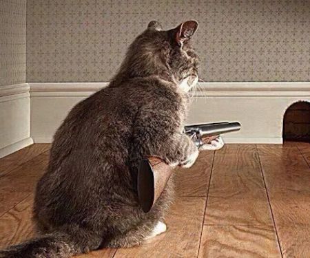 Quality Pest Control