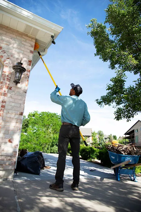 Evergreen Pest Solutions Picture 1