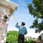 Evergreen Pest Solutions