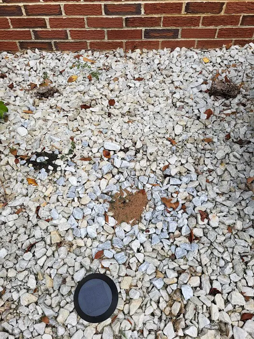 Evergreen Pest Solutions Picture 10
