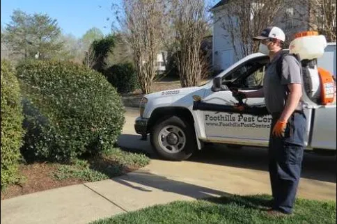 Foothills Pest Control Picture 9
