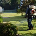 Foothills Pest Control