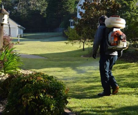 Foothills Pest Control