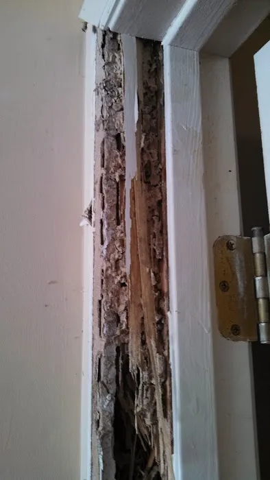 Union Exterminating Co Picture 1