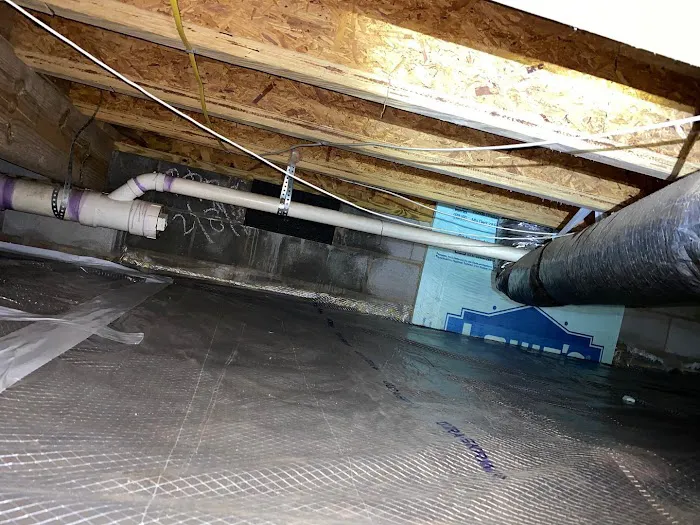 Freedom Pest Services Picture 6