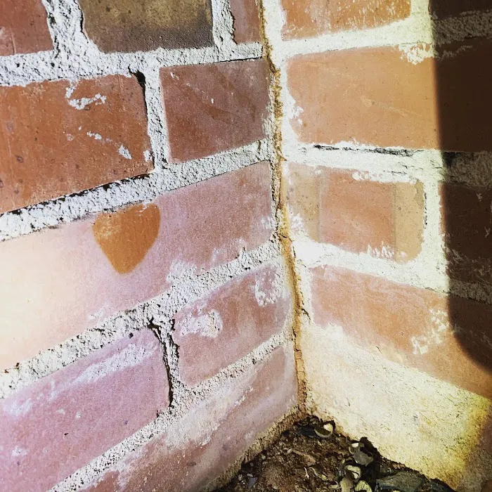 Freedom Pest Services Picture 9