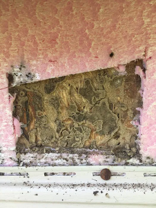 Allied Pest Management Picture 9