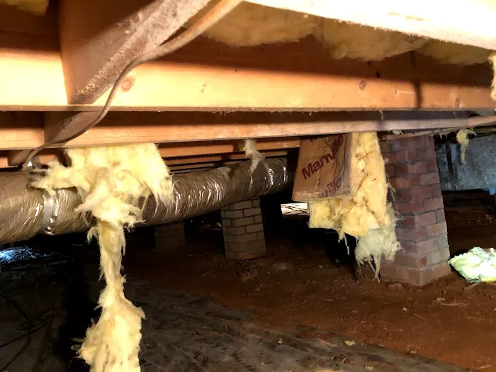 Allied Pest Management Picture 1