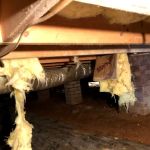 Allied Pest Management