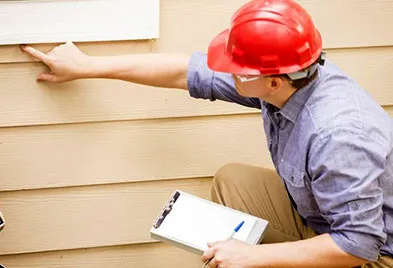 All Phase Pest Control Picture 1
