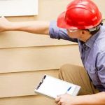 All Phase Pest Control