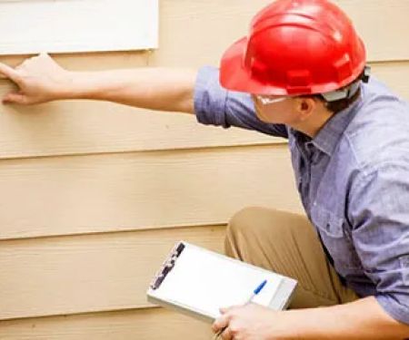 All Phase Pest Control