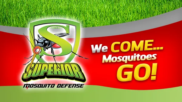 Top Notch Pest Defense Picture 2