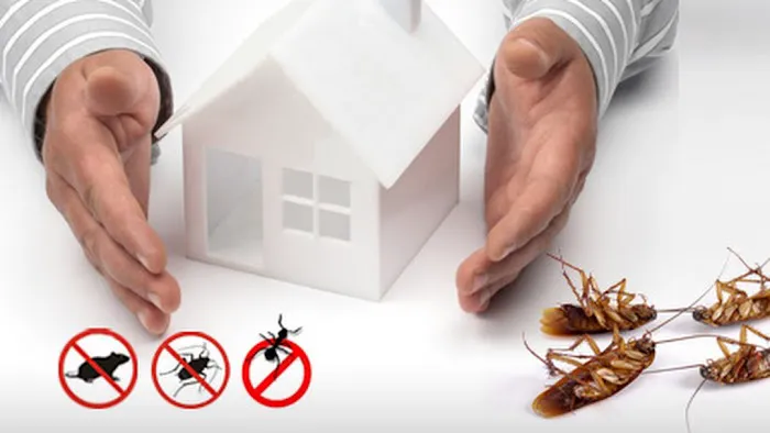 Guardian Pest And Termite Picture 1