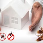 Guardian Pest And Termite