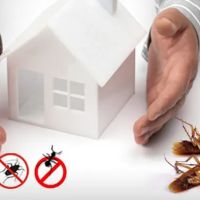 Guardian Pest And Termite ico